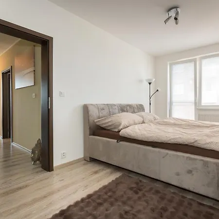 3 Luxury With Private Parking Apartment *